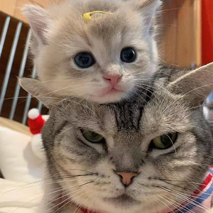 打屁股🍑sp惩罚调教网站
