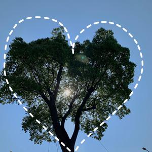 打屁股🍑sp惩罚调教网站
