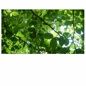 打屁股🍑sp惩罚调教网站
